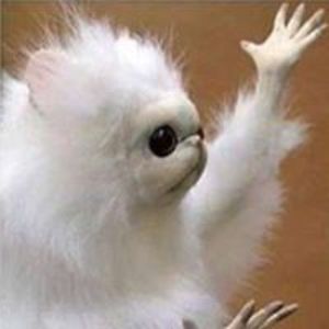 emily_baysinger avatar