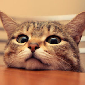 aprilcelestial avatar