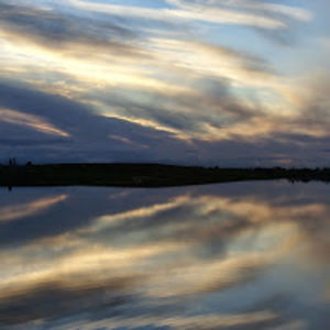 tyrannystopper2 avatar