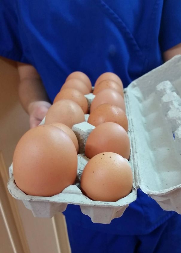 Found An Extra Large Egg Today In The Chicken Coop