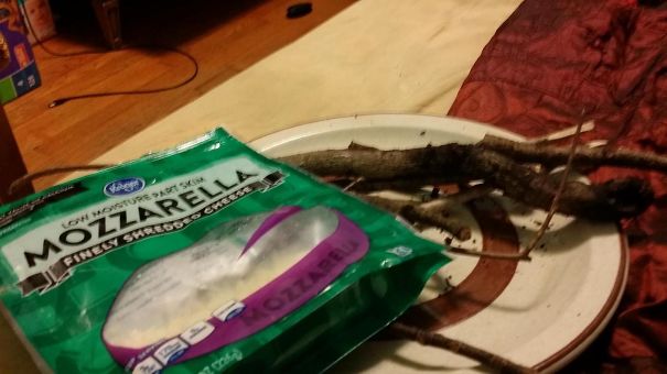 I Asked My Son To Make Me Mozzarella Sticks And This Is What He Gave Me