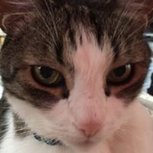 karenjoynesheim avatar