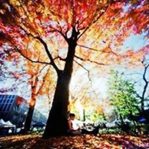 lifetraveler26 avatar