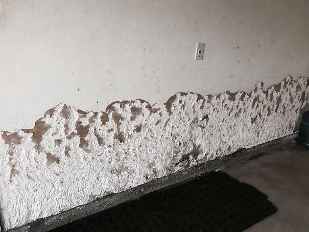 This Dog Scratched Wall, Looks Like A Painting Of Snow Covered Mountains