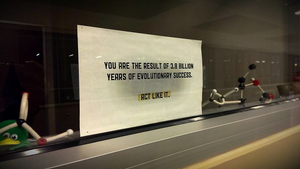 Spotted In The Window Of A Biology Professor Office At A Community College