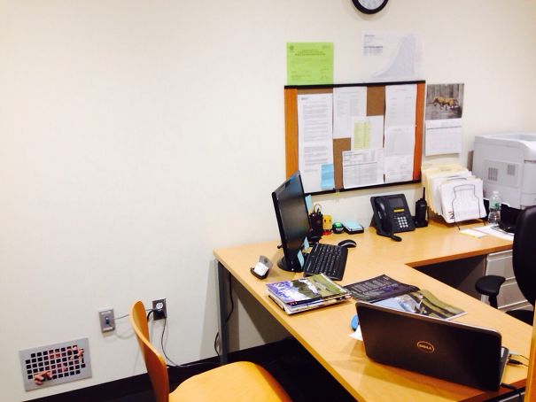 It Makes Me Flinch Every Time I Visit My Coworkers Office