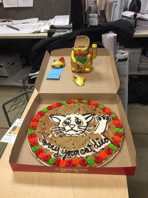 Someone Broke The Office Lucky Cat And Left An Apology Cake