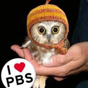 heckbeck10843 avatar