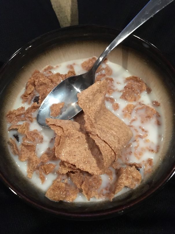My Raisin Bran Had One Gigantic Flake In It