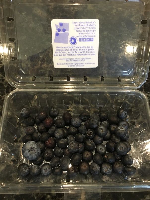 This Gigantic Blueberry