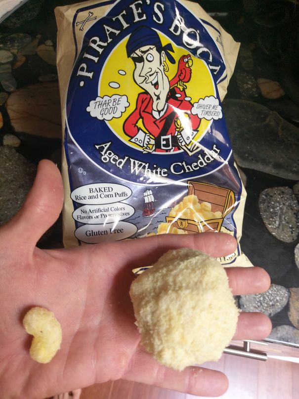 Found A Freakishly Large Pirate's Booty