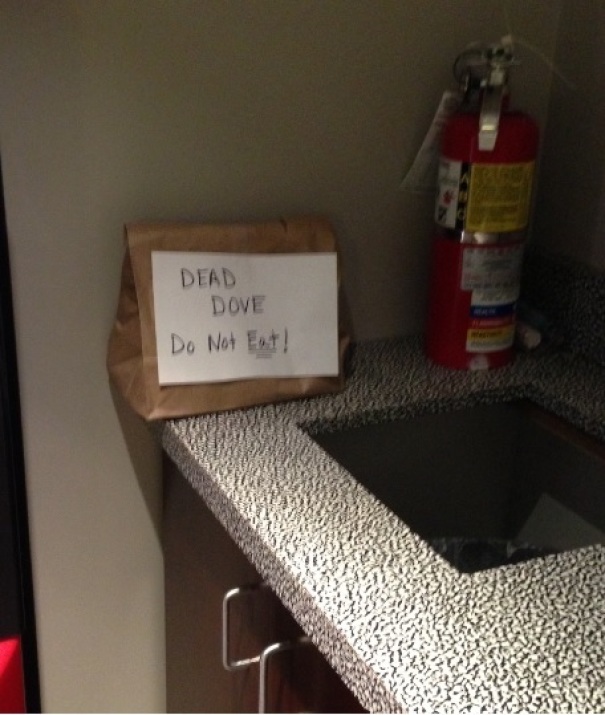 In My Office's Kitchen Today
