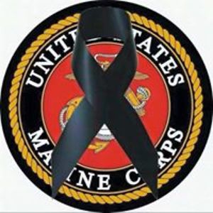 scottymarks1963 avatar