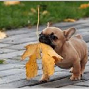 kwithkwith0474 avatar