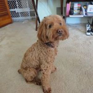 stateworker00 avatar