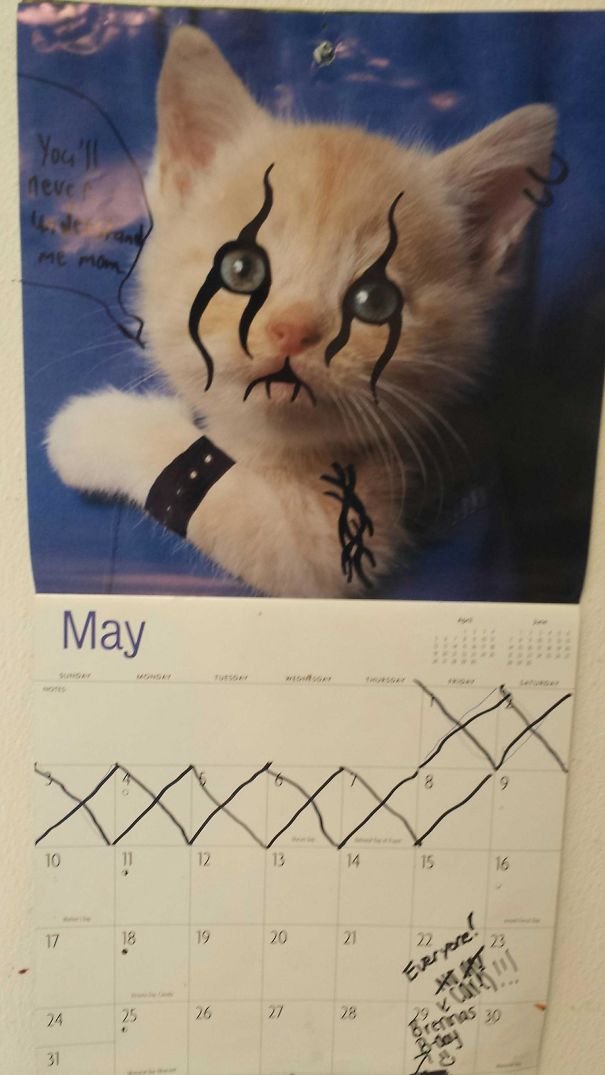 Someone Keeps Doing This To Our Kitten Calendar At Work