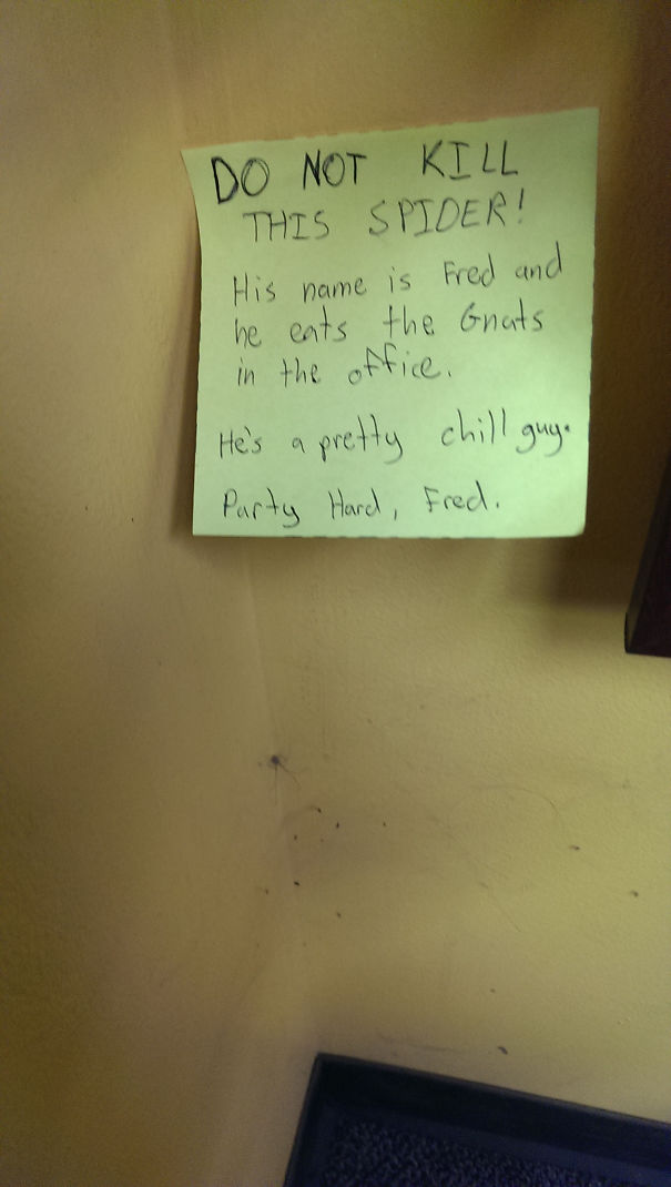 I Was Told To Kill A Spider Today At Work. This Is What Came Of That