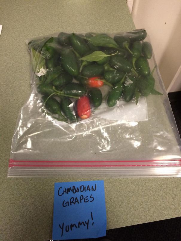 Sometimes Your Coworkers Are D*cks