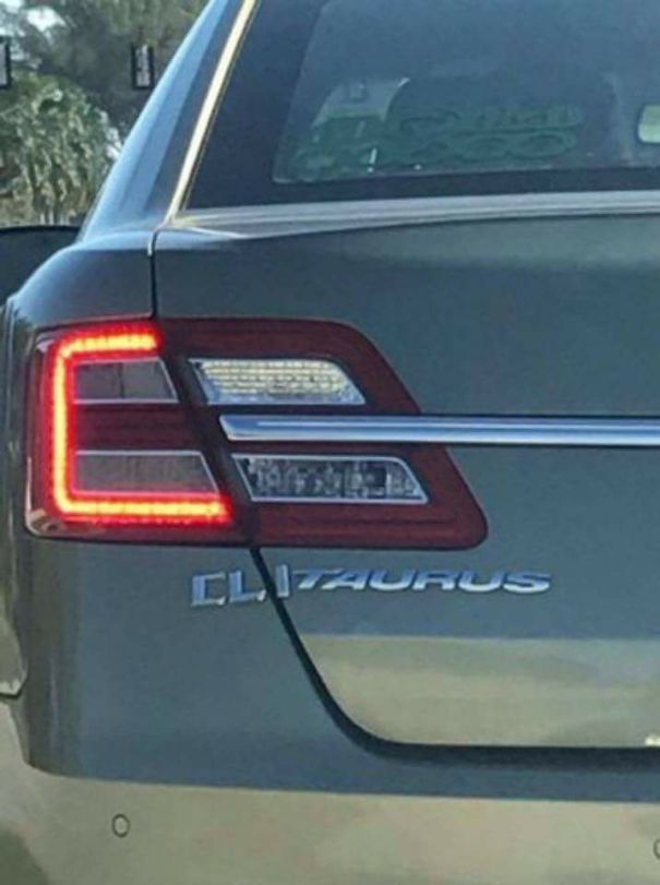 Check Your Lady Parts