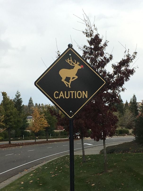 A Festive Deer Crossing Sign