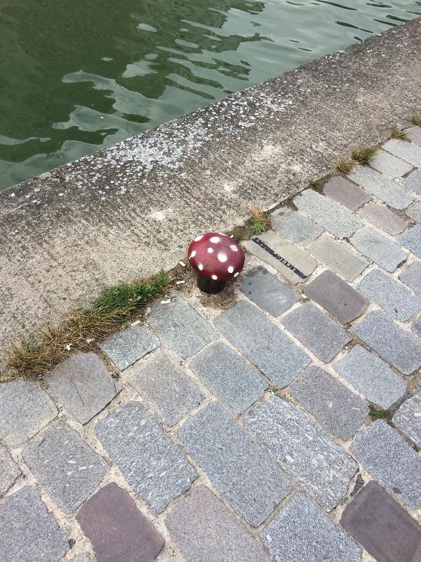 This Mushroom Boat Dock