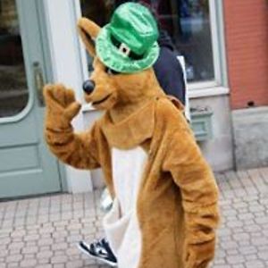 twopinkdaisies avatar