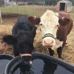 puddywuddysweetie avatar