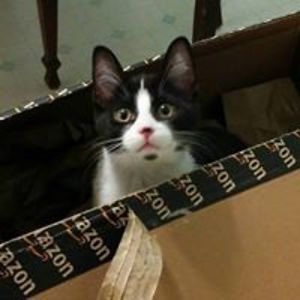 twisted_filigree avatar