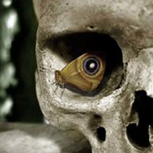 sandratheufoun avatar