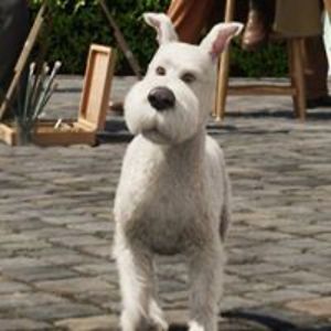 andrew_werling avatar