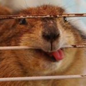 famousmikey224 avatar