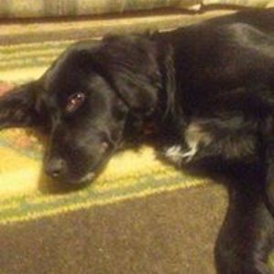 sweetpsycho97 avatar