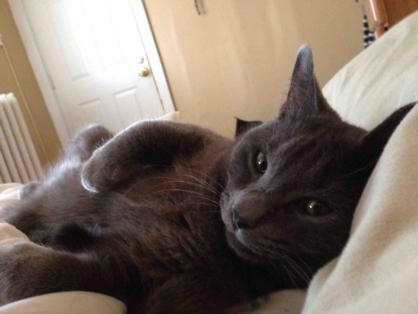 Woke Up Expecting To See My Fiancée. I Woke Up To This Instead