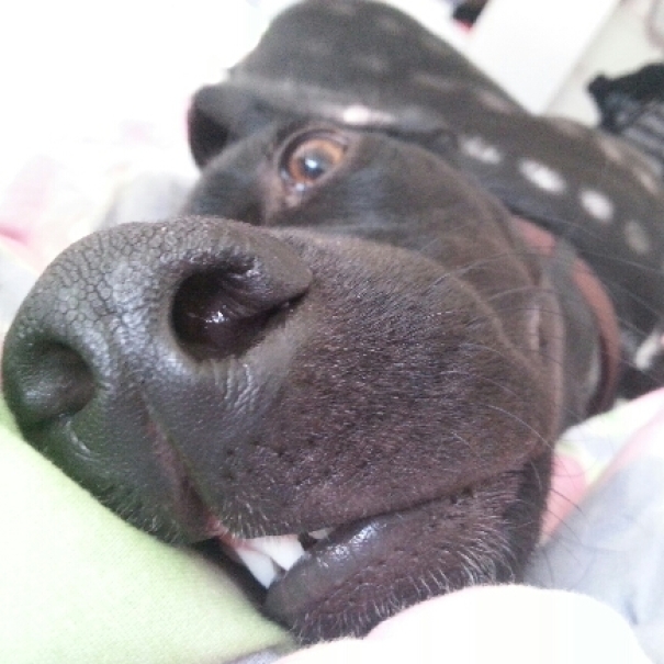 Today I Woke Up To This