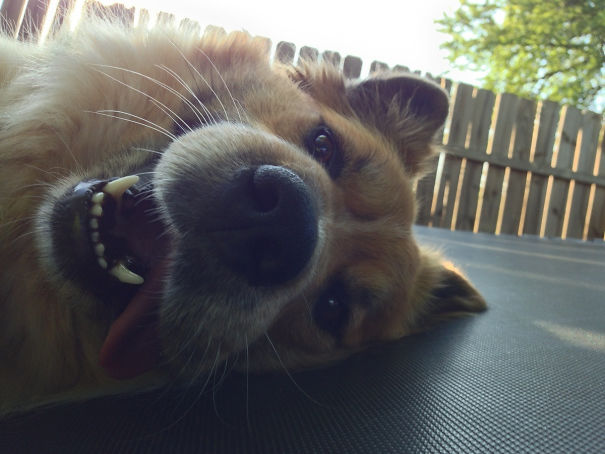 I Fell Asleep On The Trampoline And Woke Up To This