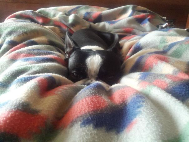 Slept At My Brother's House And Woke Up To This