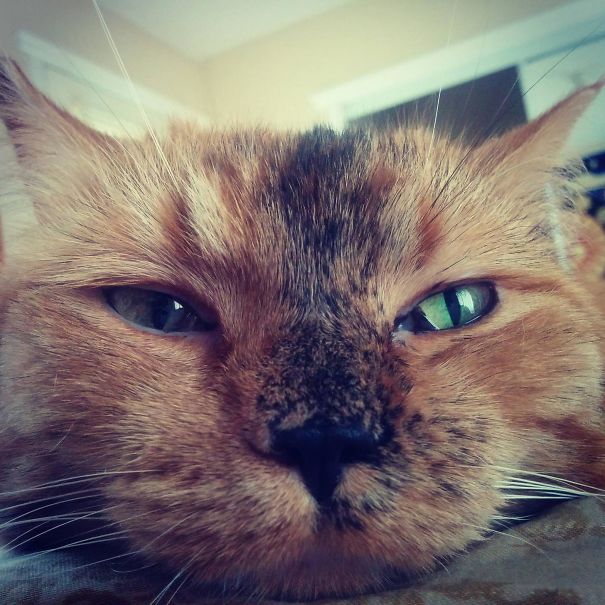 This Is The Face I Woke Up To Today