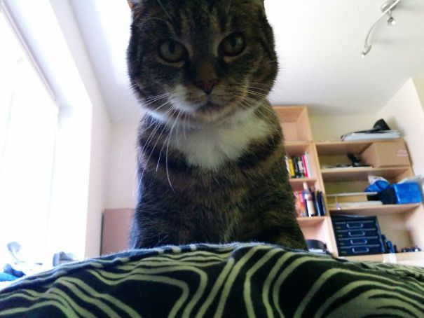 Just Woke Up To This