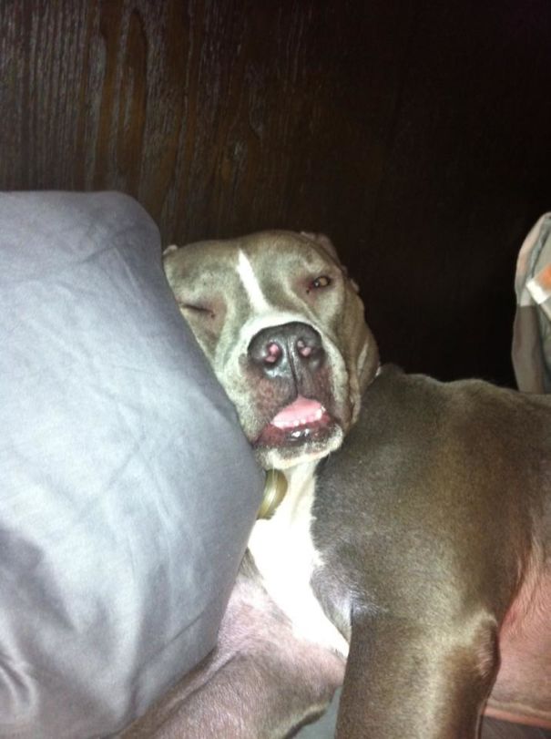 I Woke Up To The Warm Breath On My Neck And The Nails Softly Scratching My Back. I Turn Around To Embrace My Love