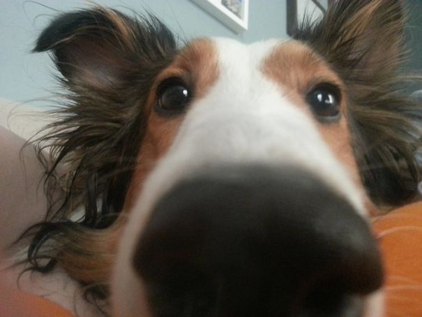 I Woke Up With This Guy On My Chest. This Is The Only Way I Ever Want To Wake Up