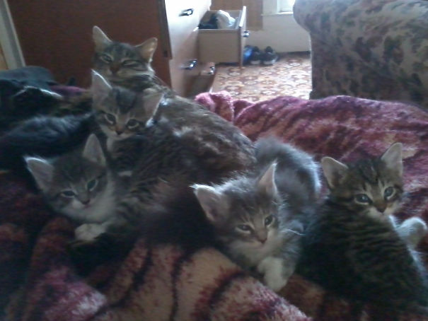 This Is What I Woke Up To This Morning