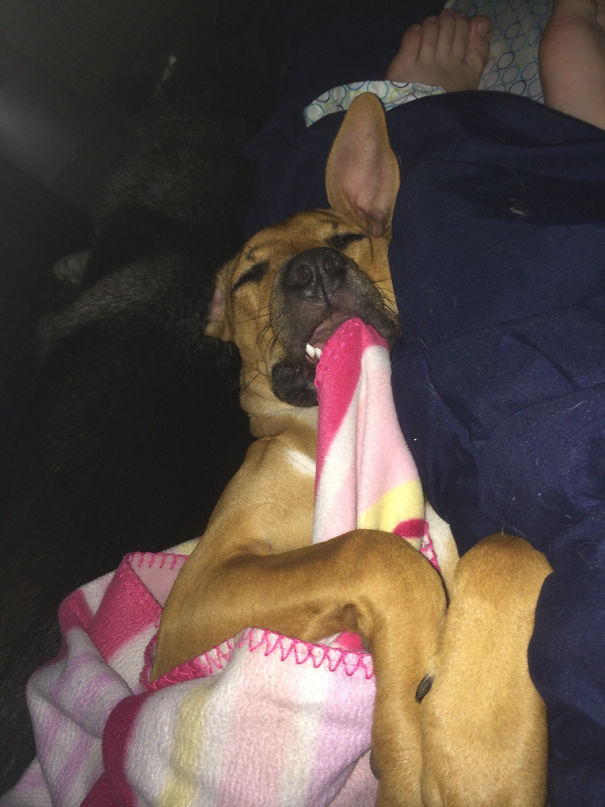 Woke Up In The Middle Of The Night To This