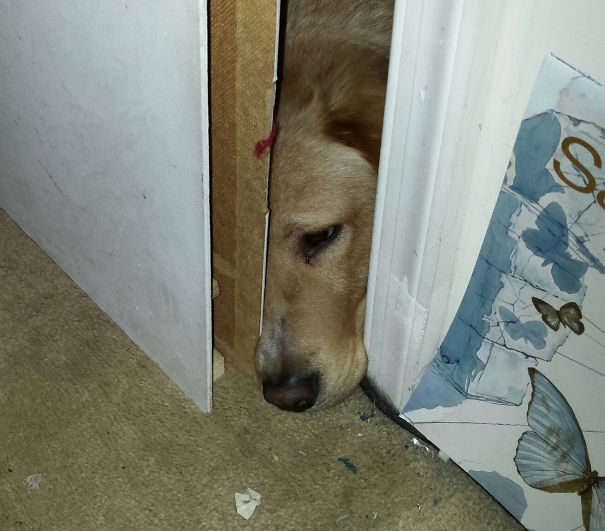 My Bedroom Door Needs To Be Re-Hung. I Woke Up To This