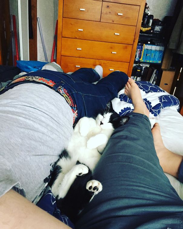 Woke Up From Our Nap To This Lil Fur Ball Fast Asleep Between Us. Such A Cutie