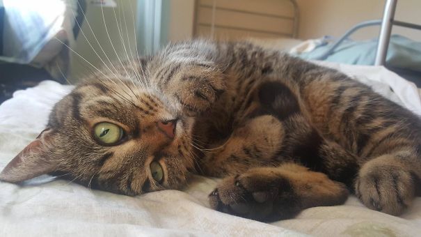 Woke Up Next To This Guy At An Airbnb Room I'm Staying At