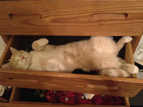 I Woke Up To Find This In My Drawer