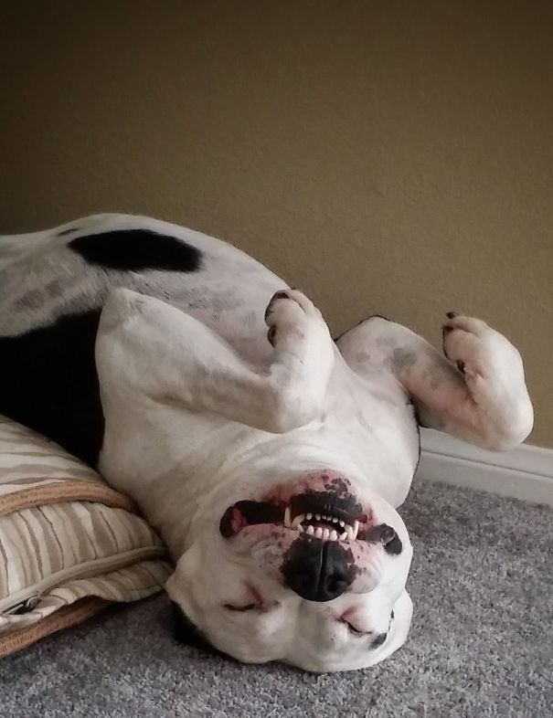 Fell Asleep On The Couch Last Night. Woke Up To This