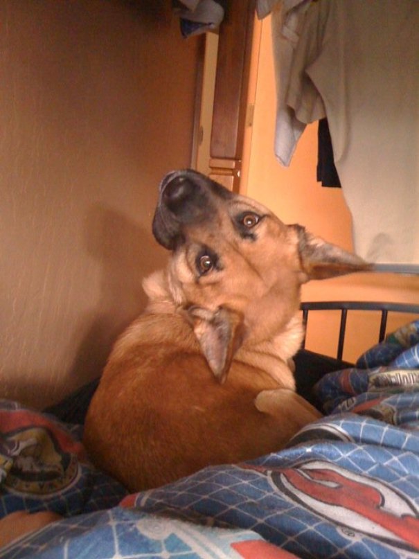 This Is What I Woke Up To This Morning