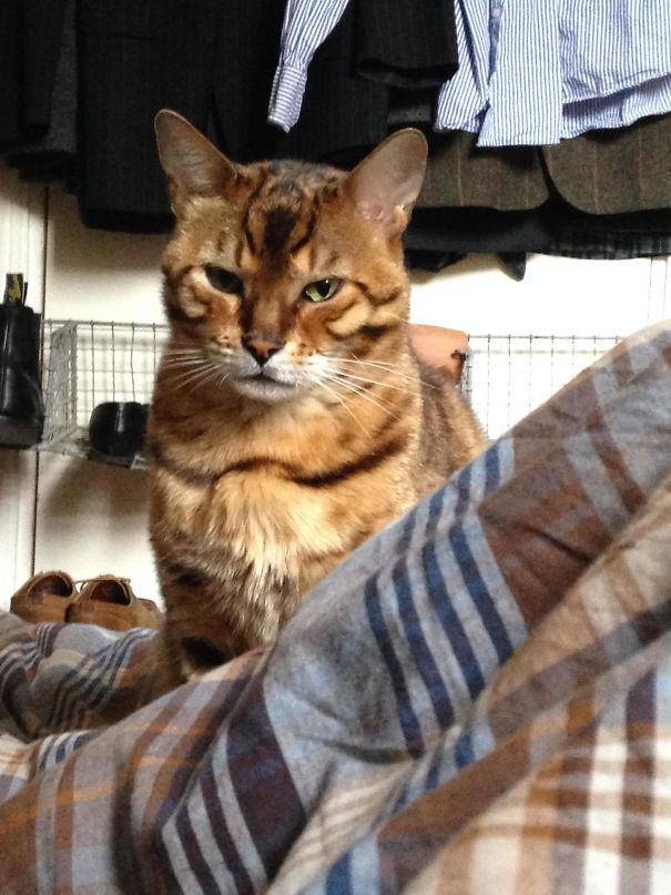 Woke Up To This. I Think He's Plotting My Demise