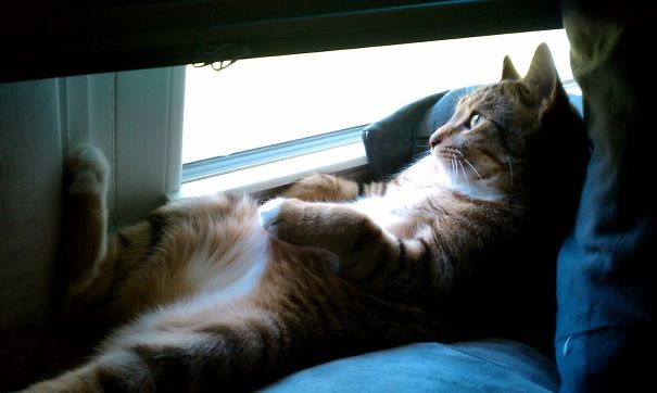 This Is What I Woke Up To